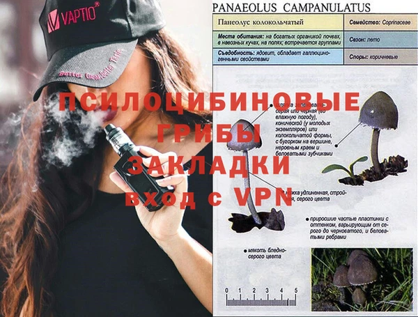 стафф Белокуриха