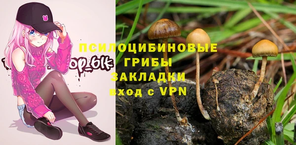 a pvp Беломорск
